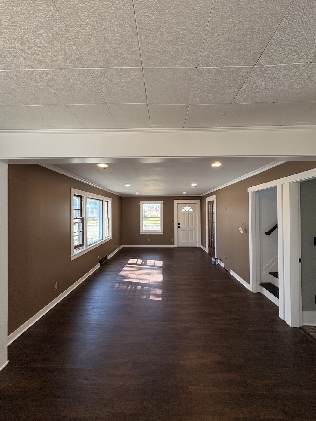 Open living room and entryway with brown painted walls and dark floors